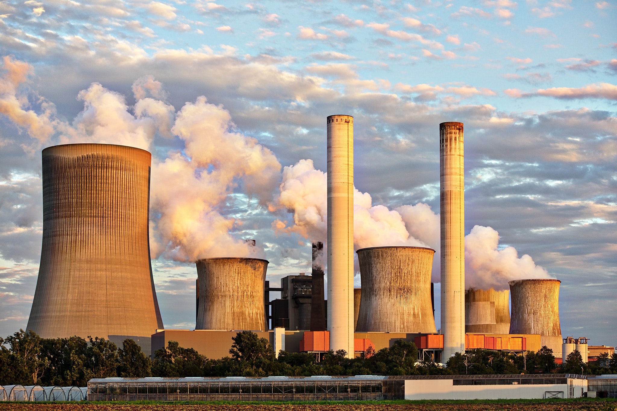 Carbono Neutralidad en Chile: roles y desafíos